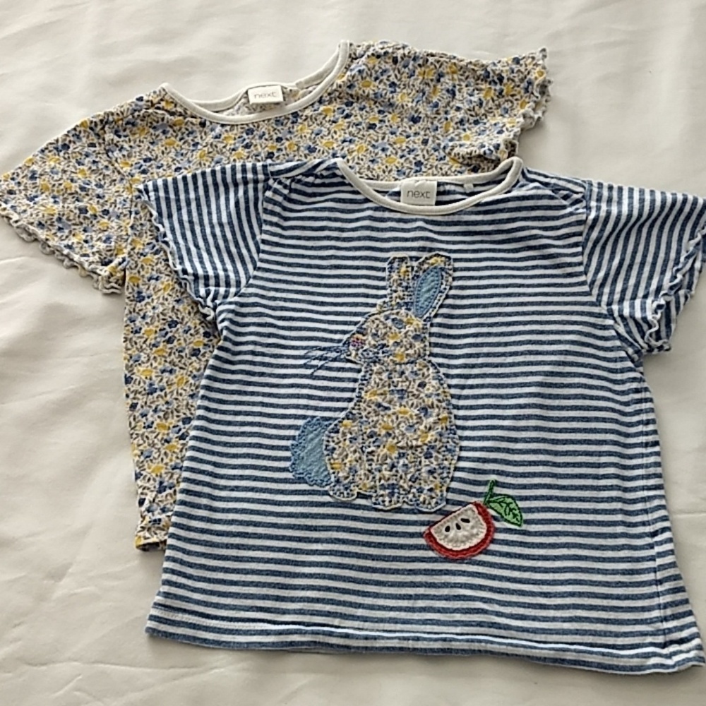 🚫sold🚫 of 2 Girls 2-3yrs Next Tops, 🐰🍎🌼🌻